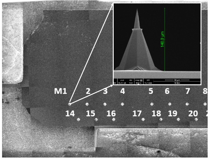 FTM25 Leap Automation